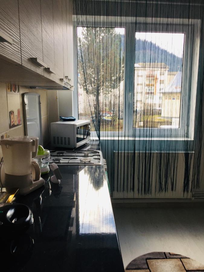 Alessia Residence Campulung Moldovenesc Exterior photo